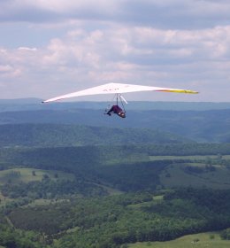 Wayne flight