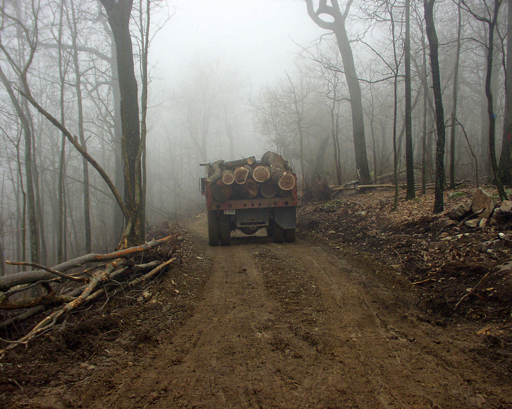 Log haul