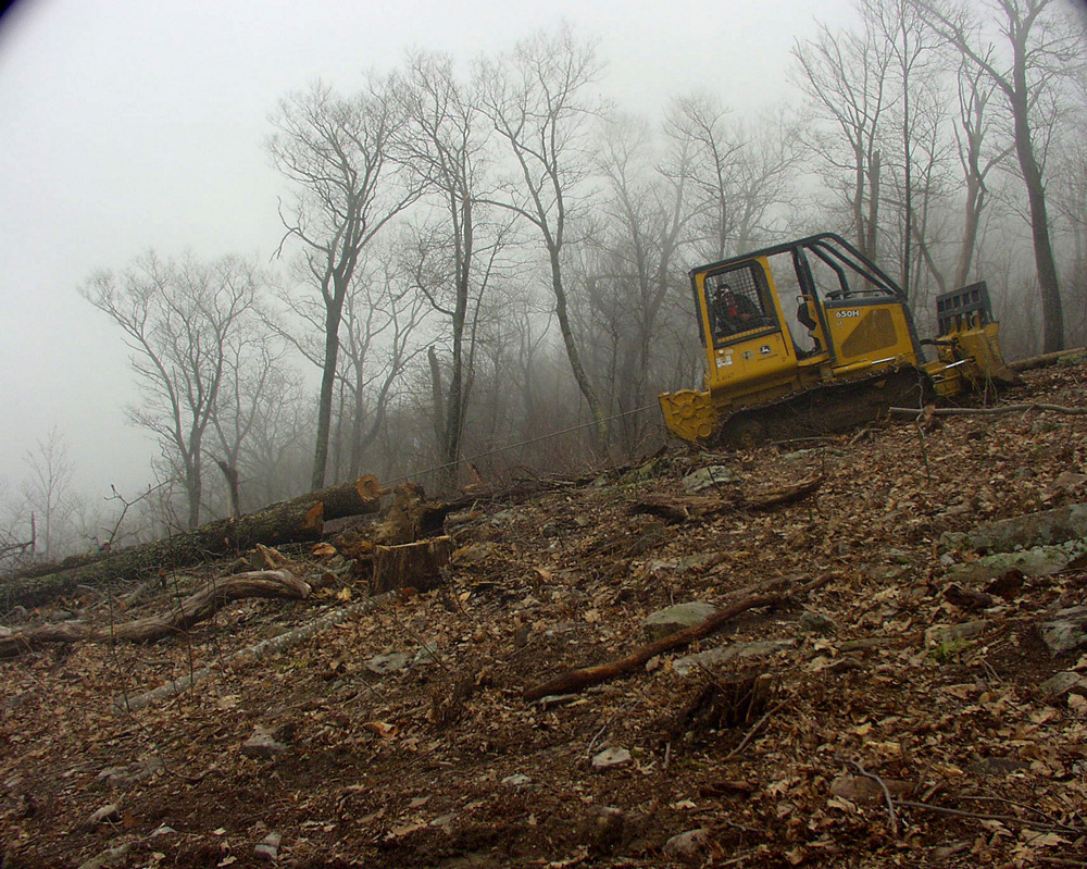 hauling logs