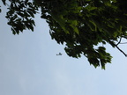 IMG_6611.JPG