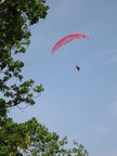 IMG_6619.JPG